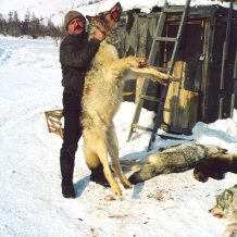 Sergei Shushunov wolf hunting in Russia