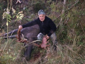 Sergei Shushunov European moose hunting