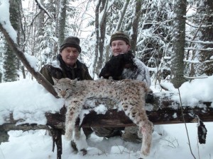 Sergei Shushunov, Lynx Hunt, St. Petersburg