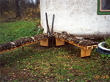 Woodcock Hunting in Russia
