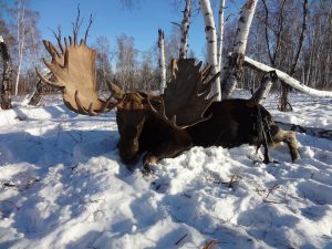 Kamchatka moose copy